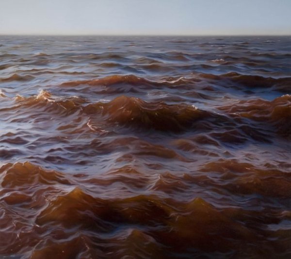 Картины Рэна Ортнера