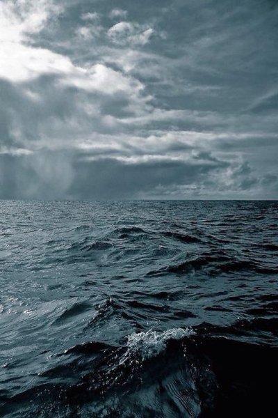 Подводные монстры