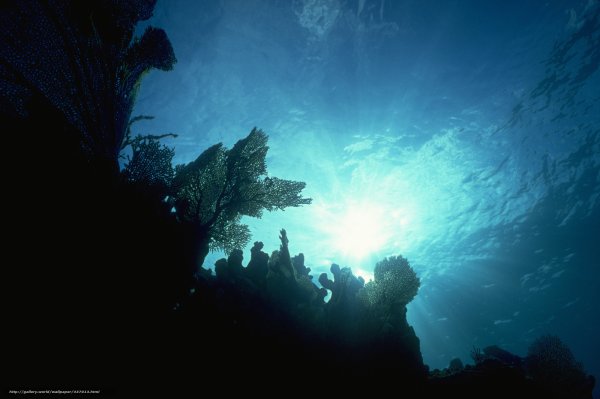 Вид из глубины