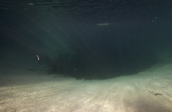 Боязнь океана