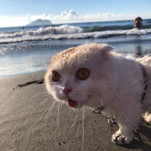 Хочу на море