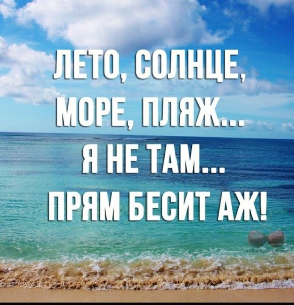Ежик на море