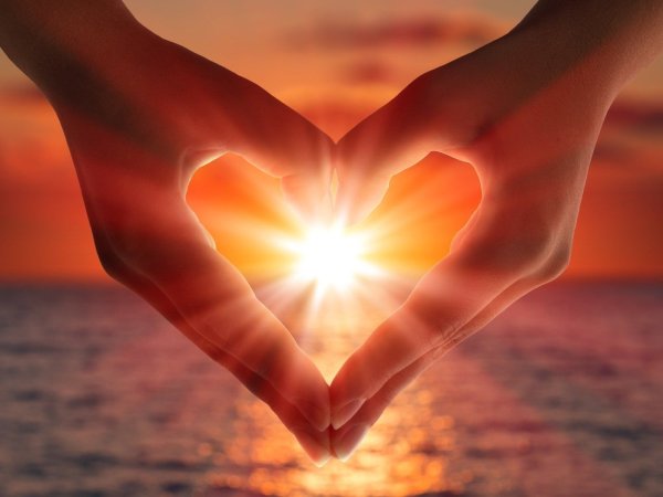 Море вежливости