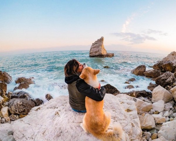 Рисунок лето