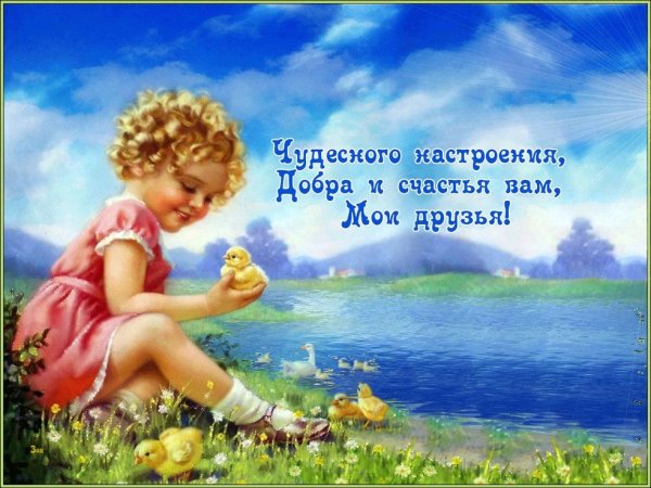 Море птицы девушка