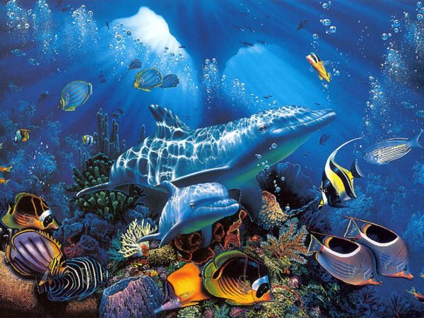 Морское дно с рыбками