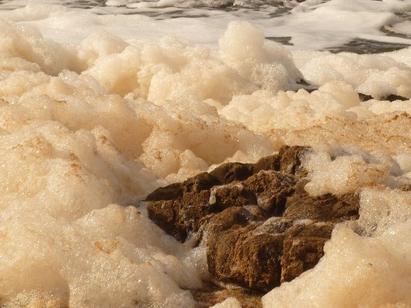 Пена на воде