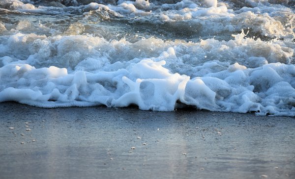 Пена на воде