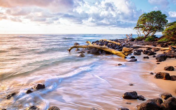 Побережье океана