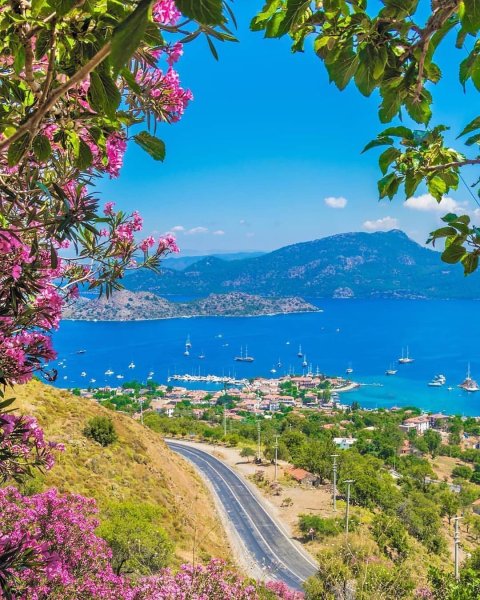 Коктебель морской Прибой