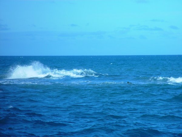 Открытое море