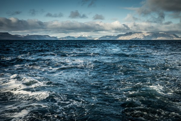 Холодное море