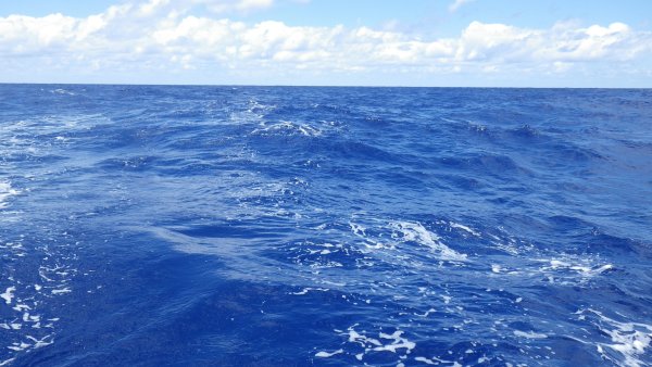 Водная гладь