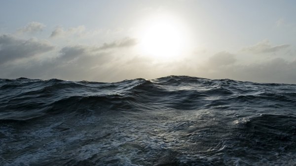 Моря и океаны