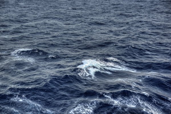 Северное море вода
