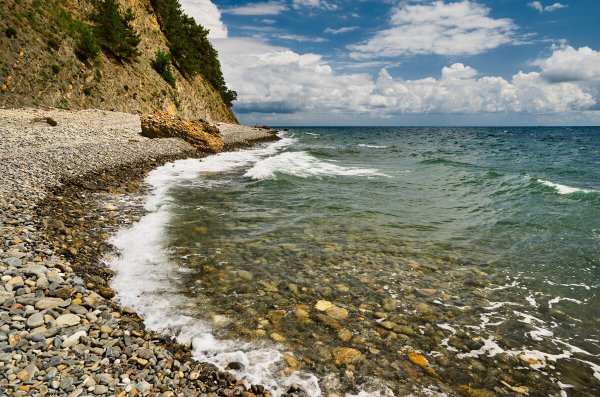Агрия Краснодарский край