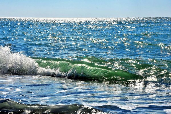 Черное море
