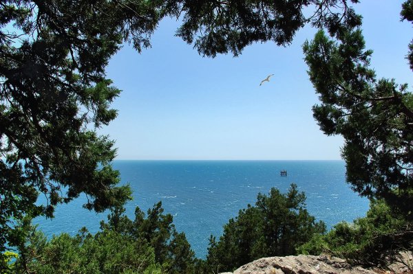 Черное море летом