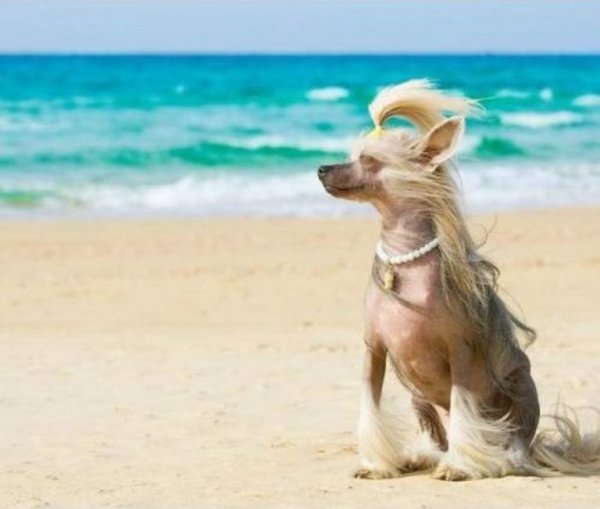 Коктейль на пляже