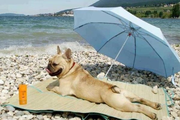 Девушка прыгает в воду