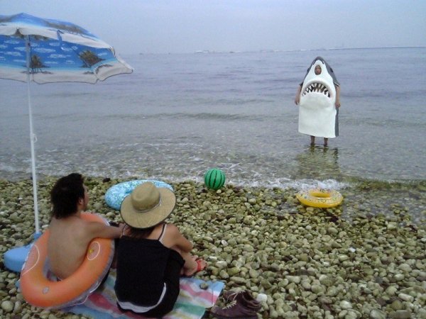 Кот на пляже