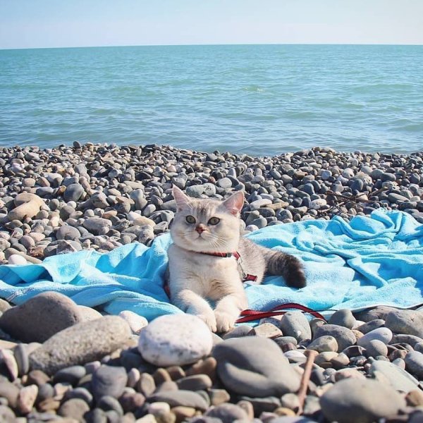 Креативное идеи для фотосессии на море