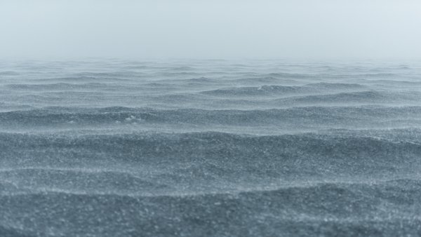 Мутное море