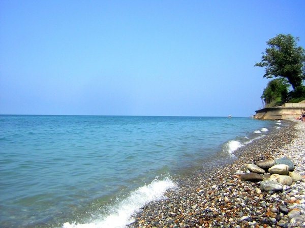 Вардане Краснодарский край