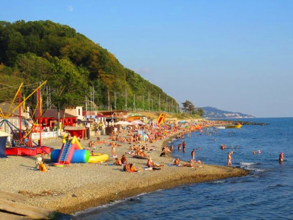 Вардане Краснодарский край