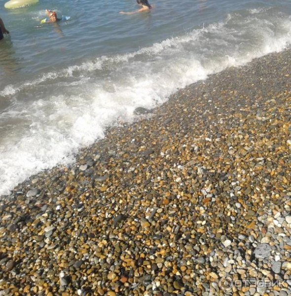 Сочи Вардане море