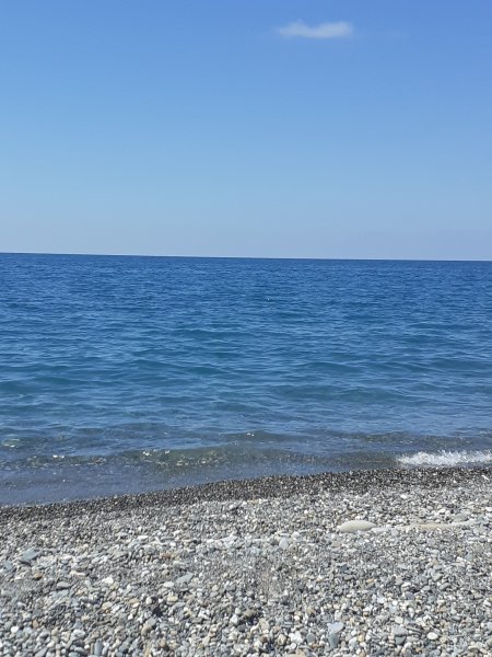 Вардане Сочи