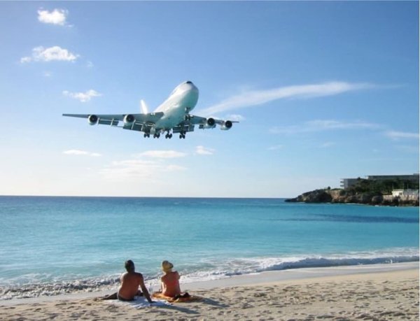 Самолет над пальмами