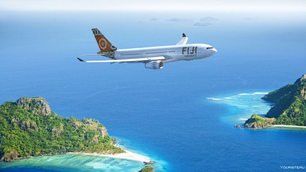 Самолет над пальмами