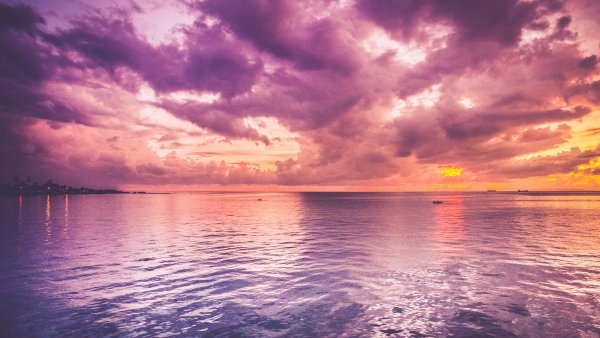 Фиолетовое море
