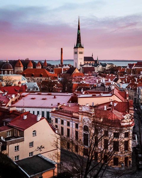 Таллин пляжи пляж пирита