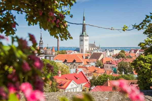 Эстония столица Таллин