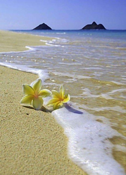 Художник-маринист Адольф бок