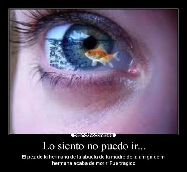 Голубые глаза женские