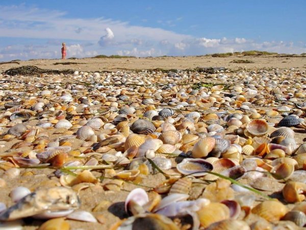 Поселок Витязево Анапа пляж