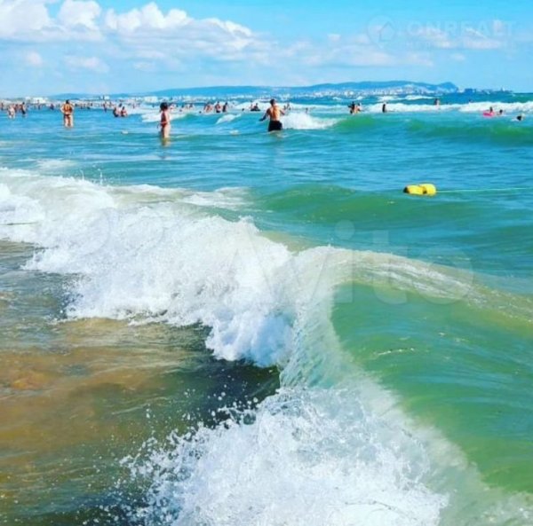 Черное море Витязево