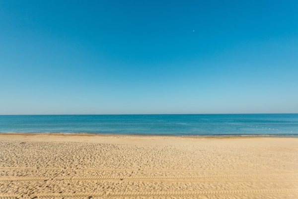 Атлантик Бич Витязево