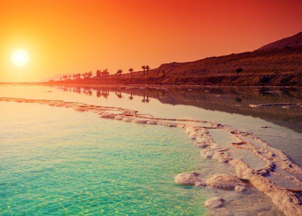 Jordan Flower Hotel 3* Иордания, Акаба / Акаба