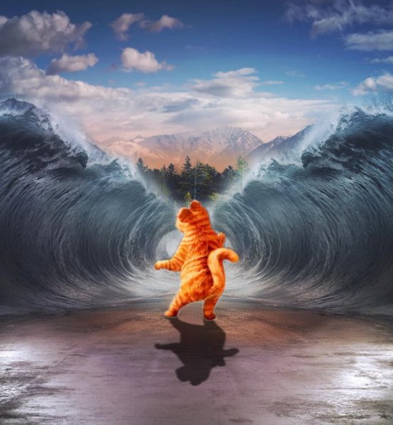 Моисей Чермное море