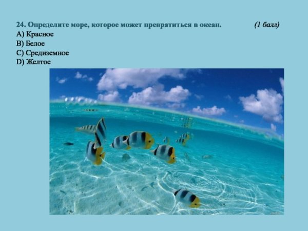 Описание боренговое море