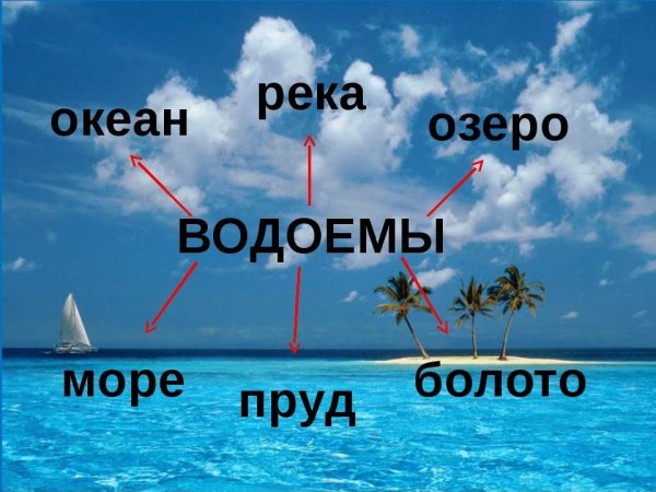Океан и море разница