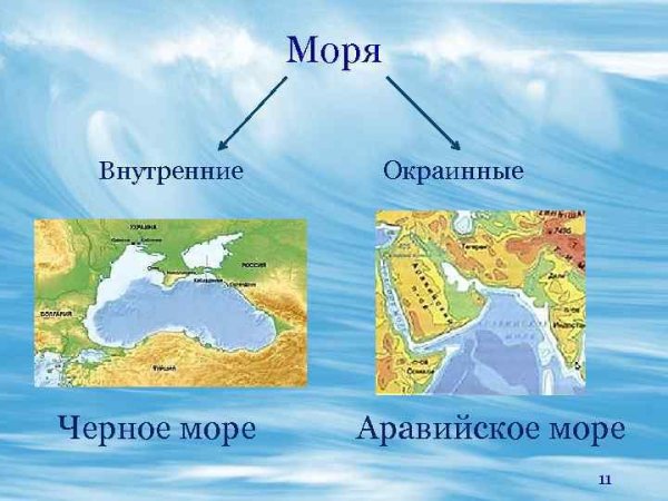Моря севернооледовитого океана