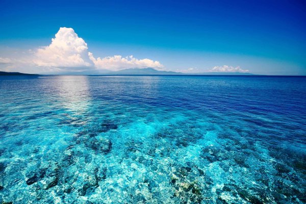 Прозрачное море
