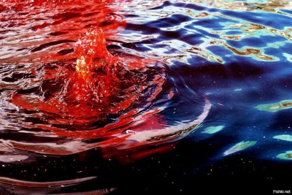 Остров Ормуз красный пляж