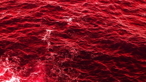 Багровый рассвет