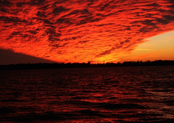 Красный океан